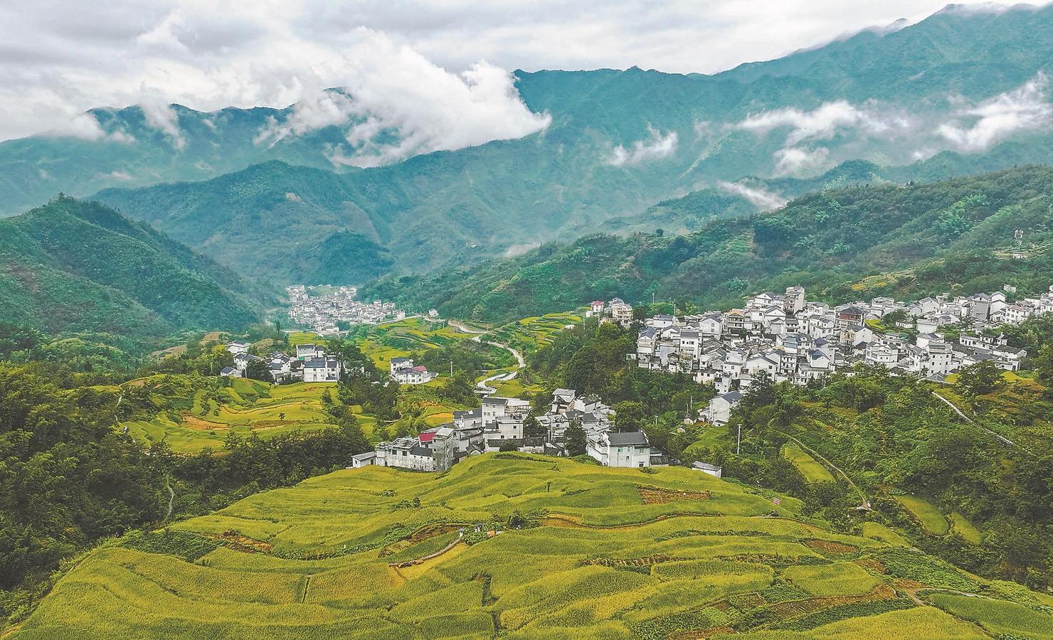 安徽之旅入门指南,初学者的美食与景点探索