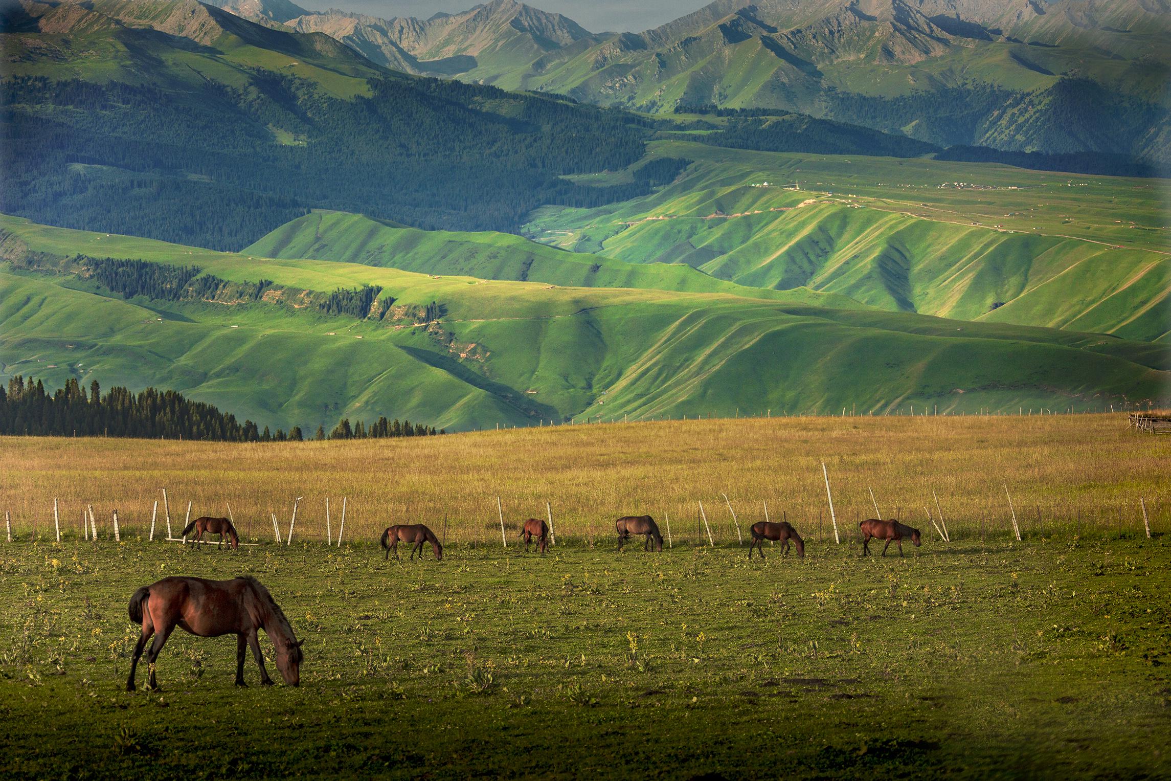探寻新疆，神秘美丽的丝路瑰宝