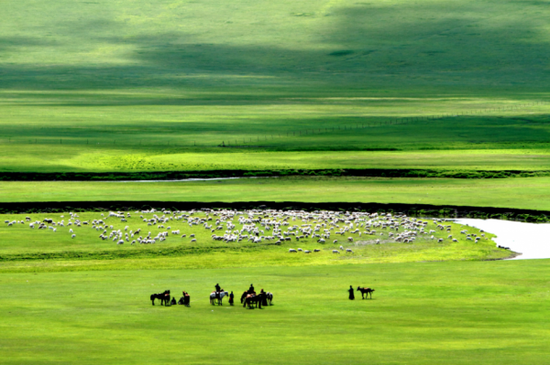 呼伦贝尔,嘉宾云集,观众热情如火